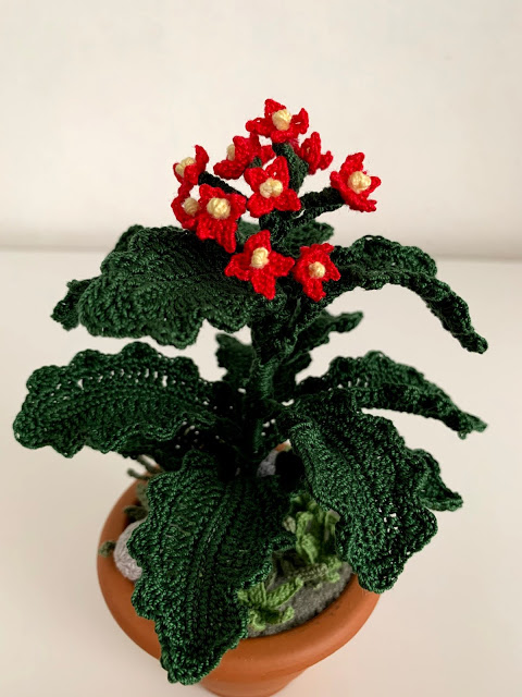 Kalanchoe amigurumi gratis