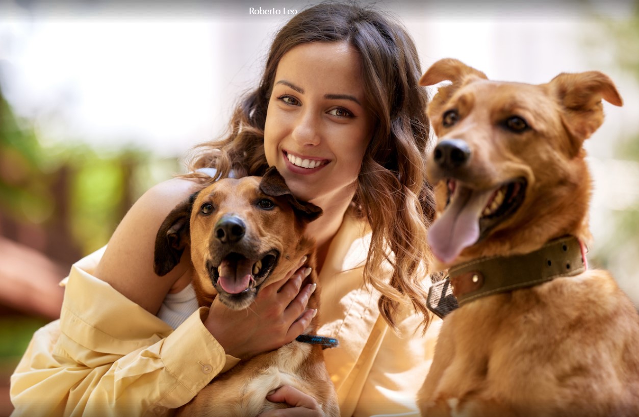 Introdurre un Nuovo Animale Domestico in Casa